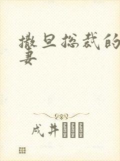 撒旦总裁的下堂妻封面