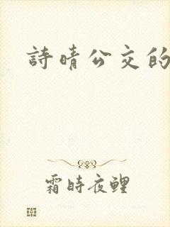 诗晴公交的小说