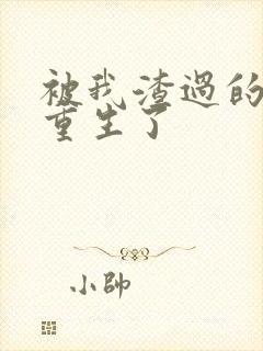 被我渣过的男主重生了封面