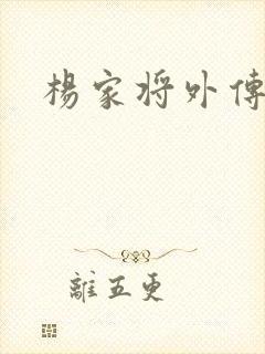 杨家将外传封面