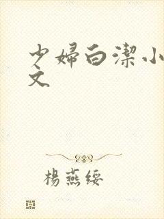 少妇白洁小说全文