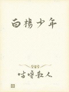 白杨少年