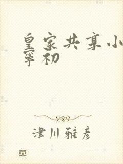 皇家共享小公主宁初