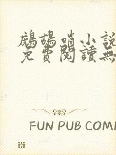 鹧鸪哨小说网站免费阅读无弹窗封面