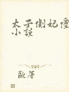 太子侧妃傻乎乎小说