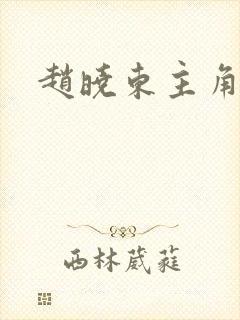 赵晓东主角小说