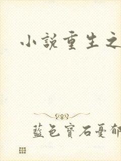 小说重生之官道