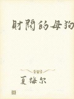 财阀的母狗们