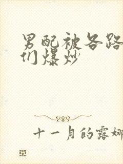 男配被各路大佬们爆炒