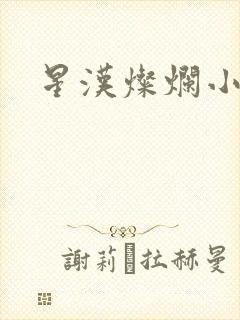星汉灿烂小说封面