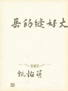 岳的缝好大封面