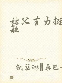 姑父有力挺送赵敏封面