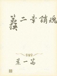 第二章销魂的交换