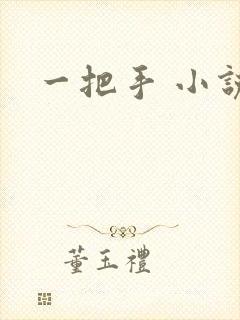 一把手 小说
