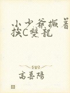 小少爷撅着屁股挨C双龙封面