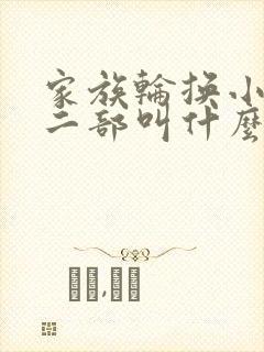 家族轮换小说第二部叫什么名字封面
