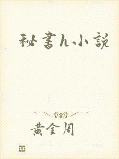 秘书h小说