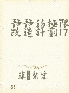 静静的极限自我改造计划17