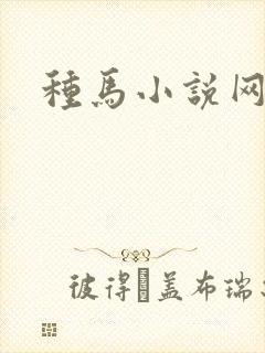 种马小说网