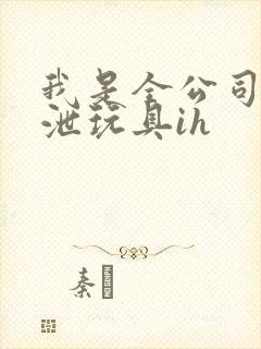 我是全公司的发泄玩具ih