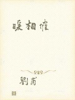 暖相催封面