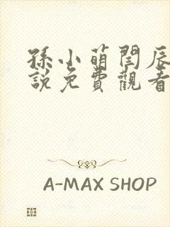 孙小萌闫辰的小说免费观看封面