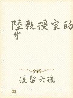 陆教授家的小月牙封面