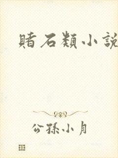 赌石类小说