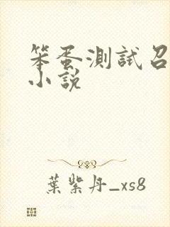 笨蛋测试召唤兽小说