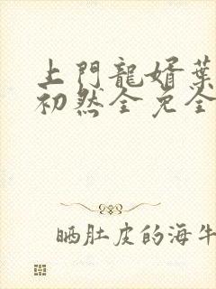 上门龙婿叶辰萧初然全免全集