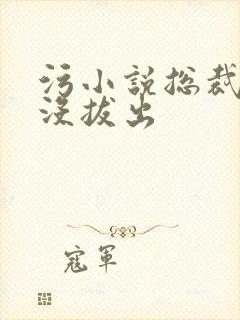 污小说总裁整夜没拔出封面