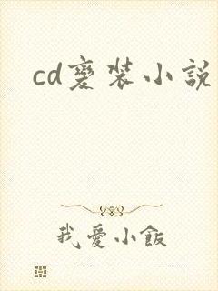 cd变装小说