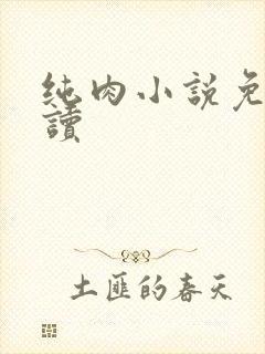 纯肉小说免费阅读封面
