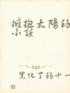 拥抱太阳的月亮小说