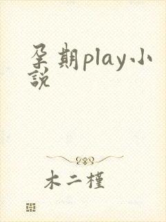 孕期play小说