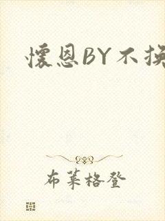 怀恩BY不换