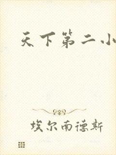 天下第二小说
