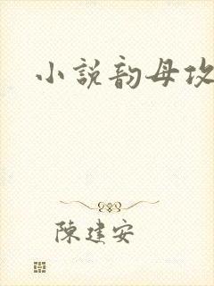 小说韵母攻略封面