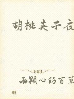 胡桃夹子夜未眠