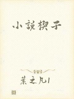 小说楔子
