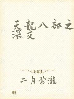 天龙八部之极乐深交封面