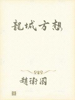 龙城方想封面