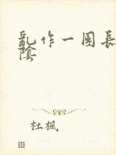 乱作一团长日光阴