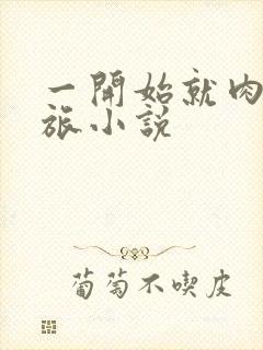 一开始就肉的军旅小说封面