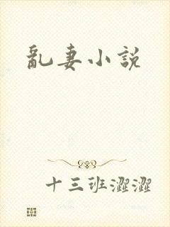 乱妻小说