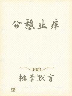 公憩止痒封面