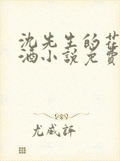 沈先生的花式调酒小说免费阅读