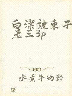 白洁被东子老二老三3p