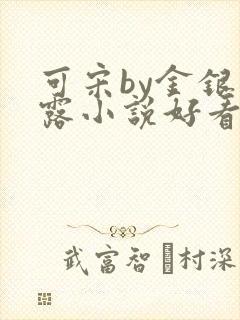 可宋by金银花露小说好看吗