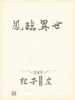 凤临异世封面